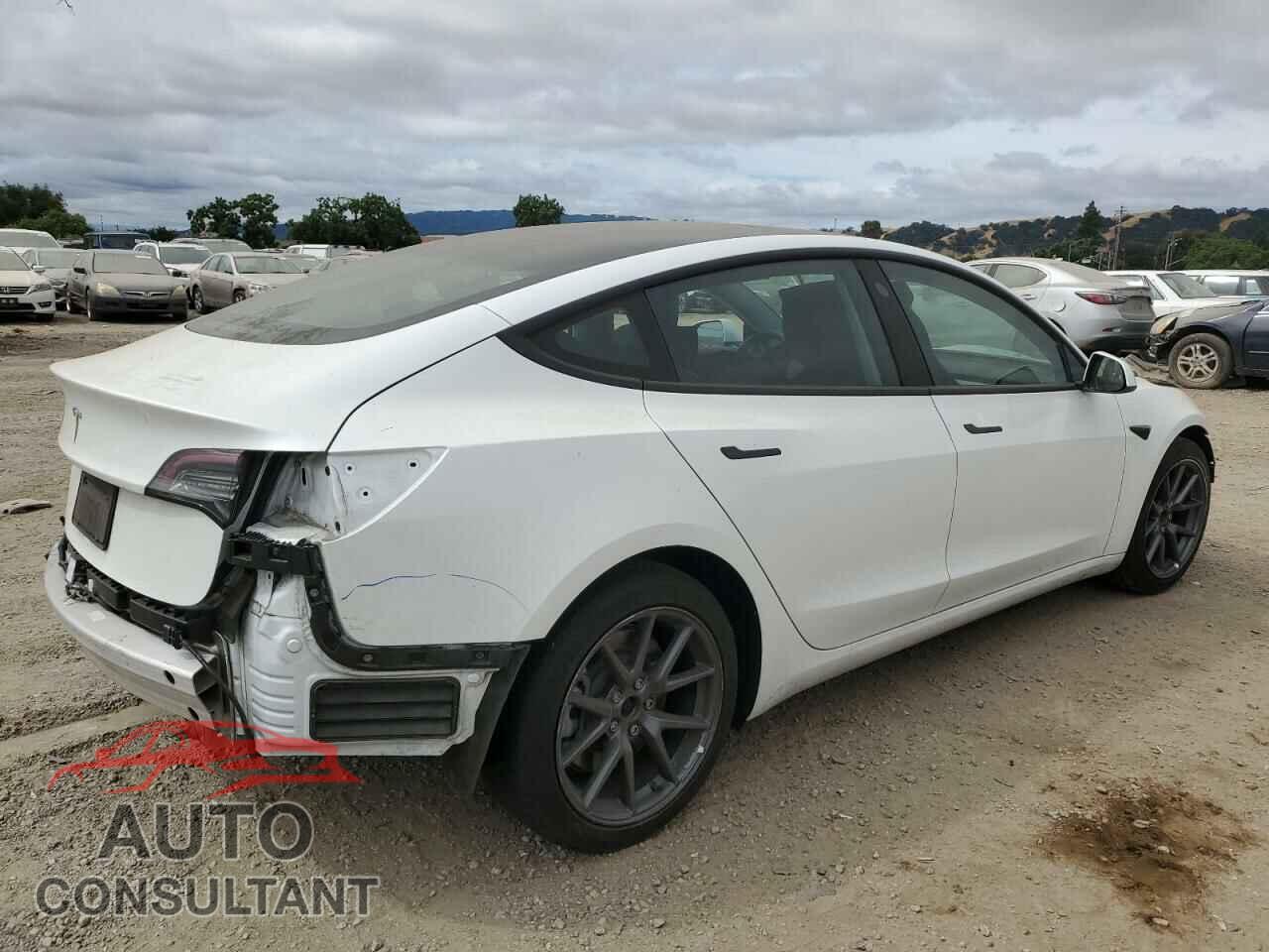 TESLA MODEL 3 2021 - 5YJ3E1EA6MF076061
