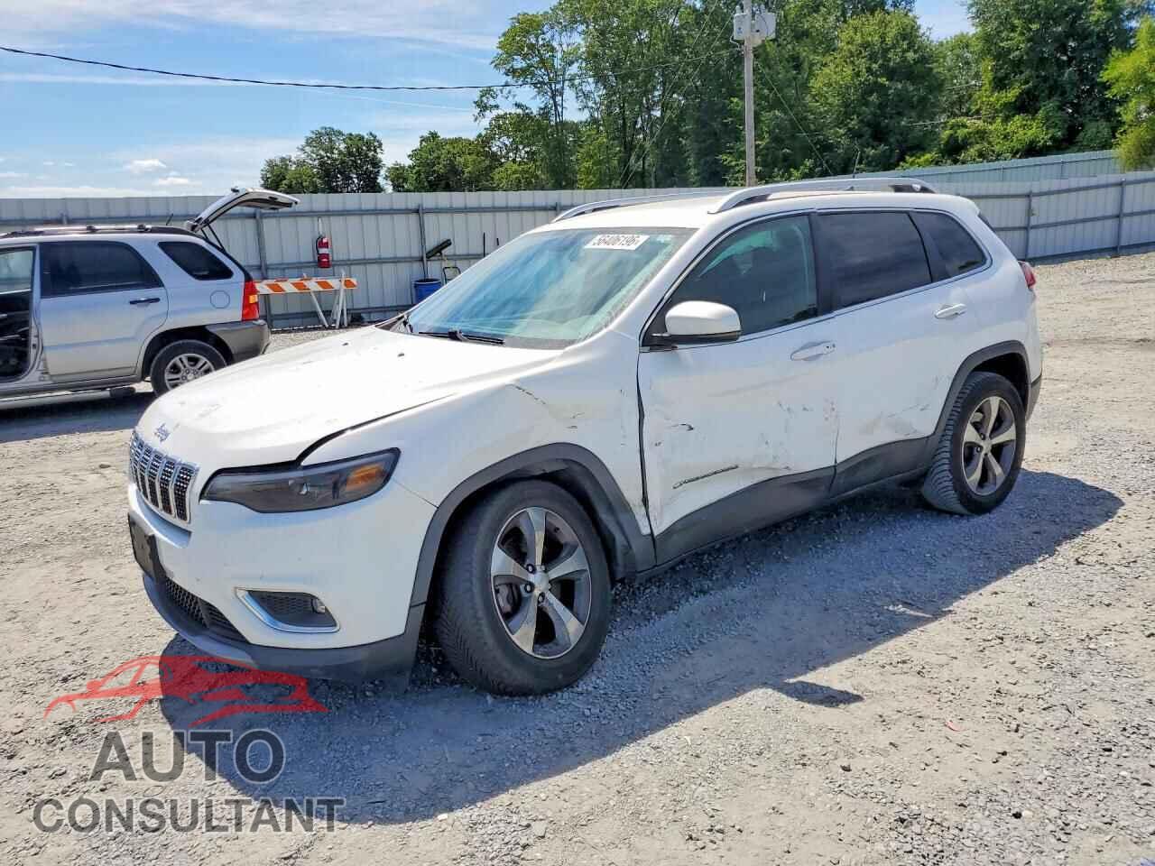 JEEP CHEROKEE 2019 - 1C4PJMDX2KD166350