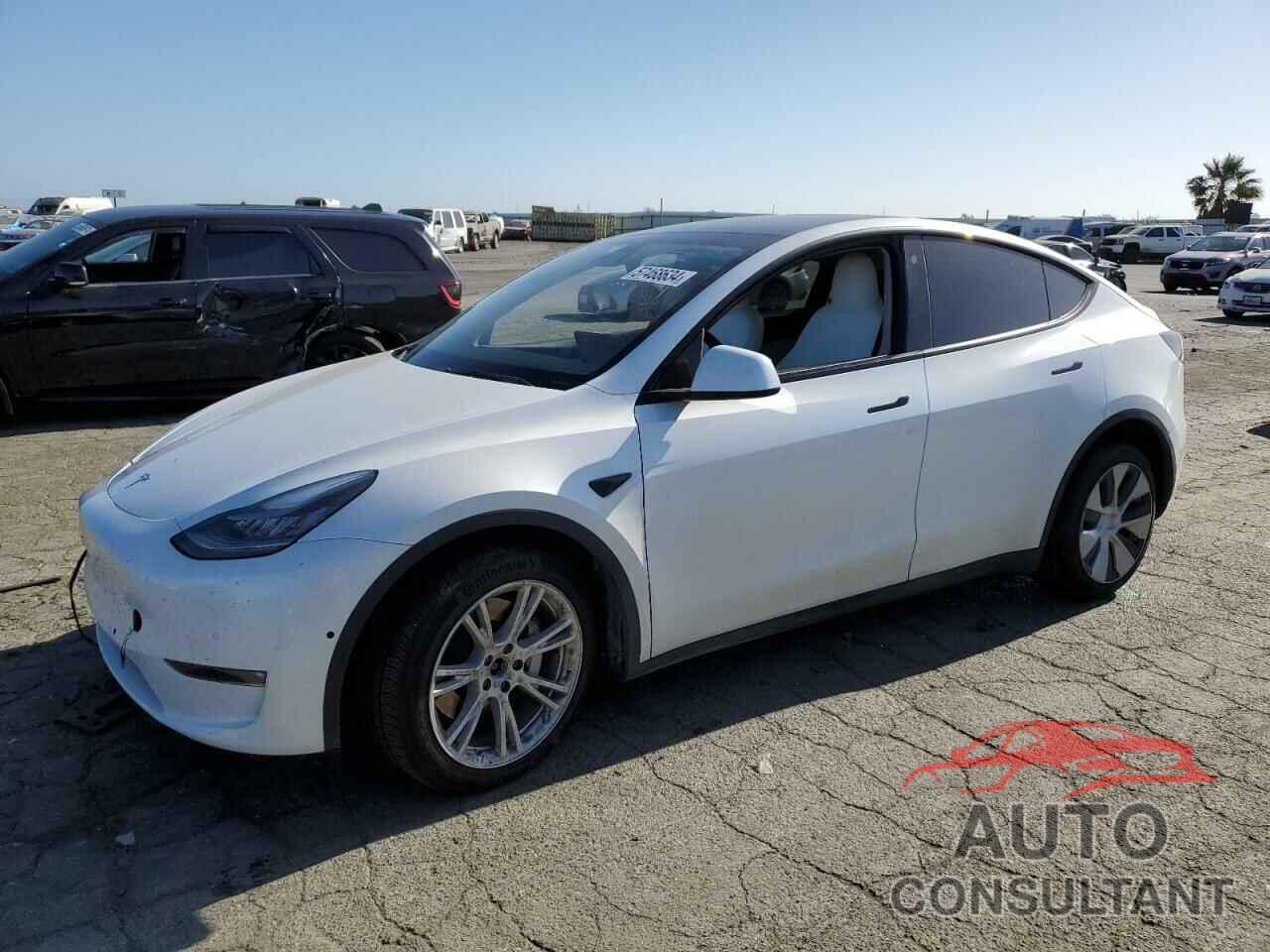 TESLA MODEL Y 2021 - 5YJYGDEE9MF176790