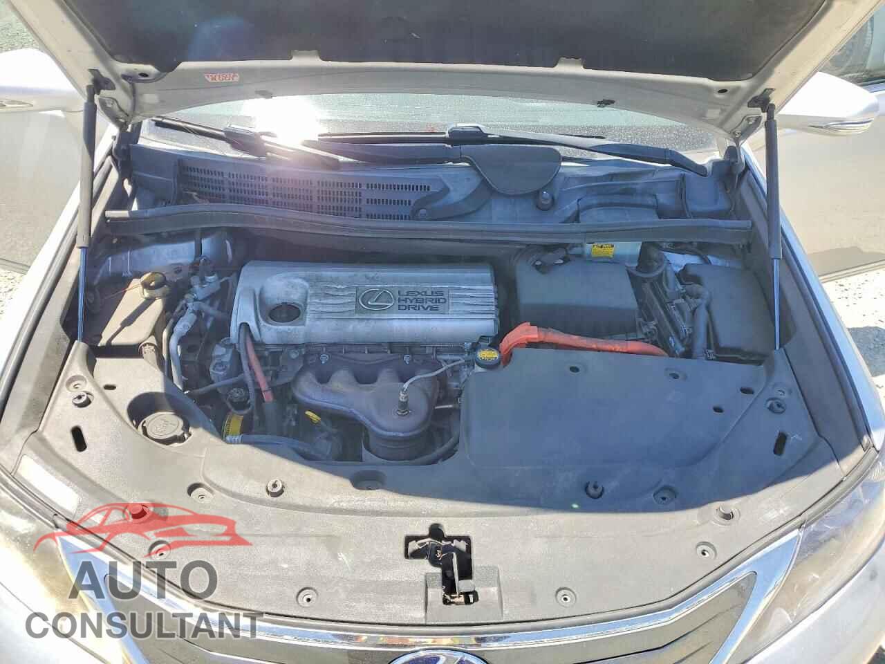 LEXUS HS 2010 - JTHBB1BA1A2025279