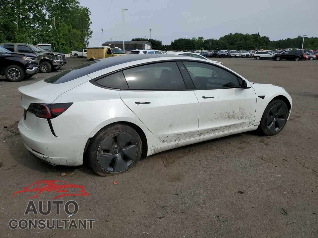 TESLA MODEL 3 2023 - 5YJ3E1EA8PF563010