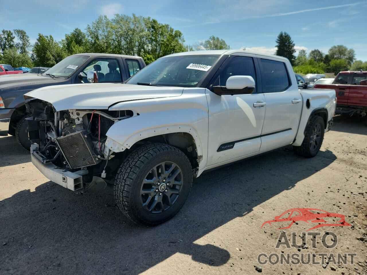 TOYOTA TUNDRA 2022 - 5TFNA5DB3NX007647