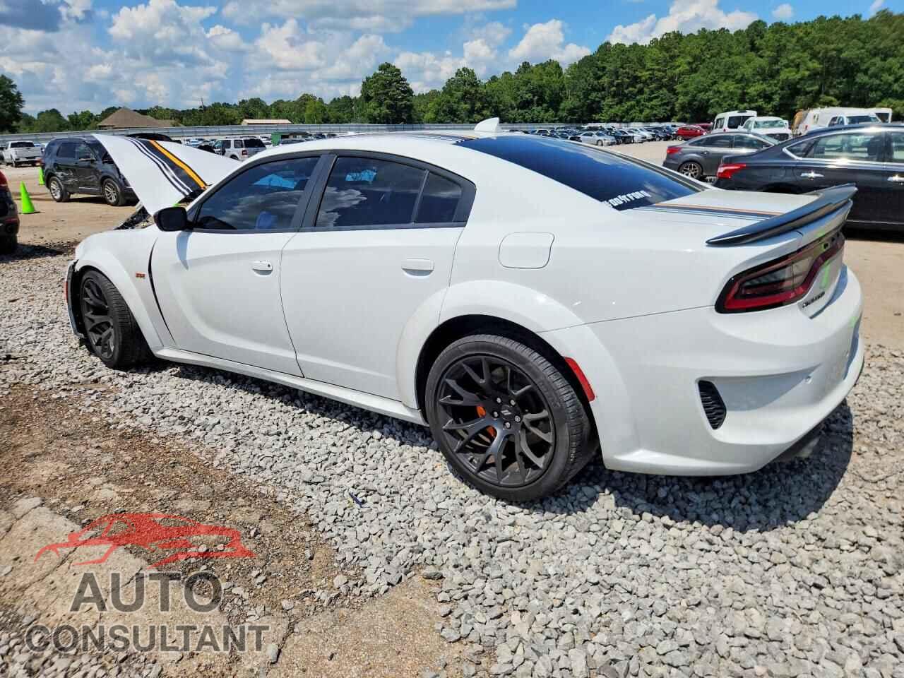 DODGE CHARGER 2023 - 2C3CDXGJ2PH539321