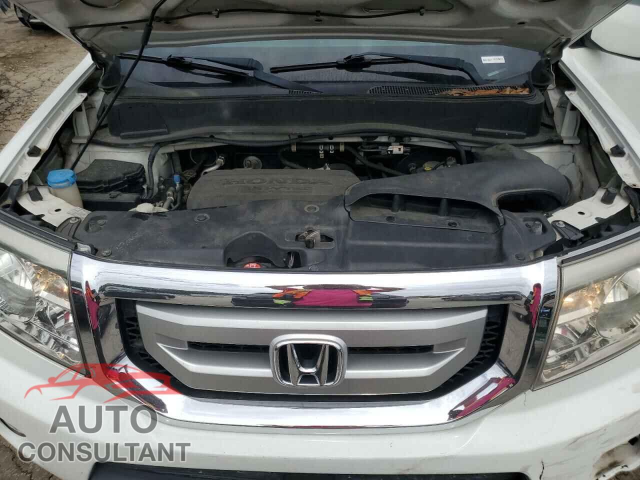 HONDA PILOT 2011 - 5FNYF4H59BB022172