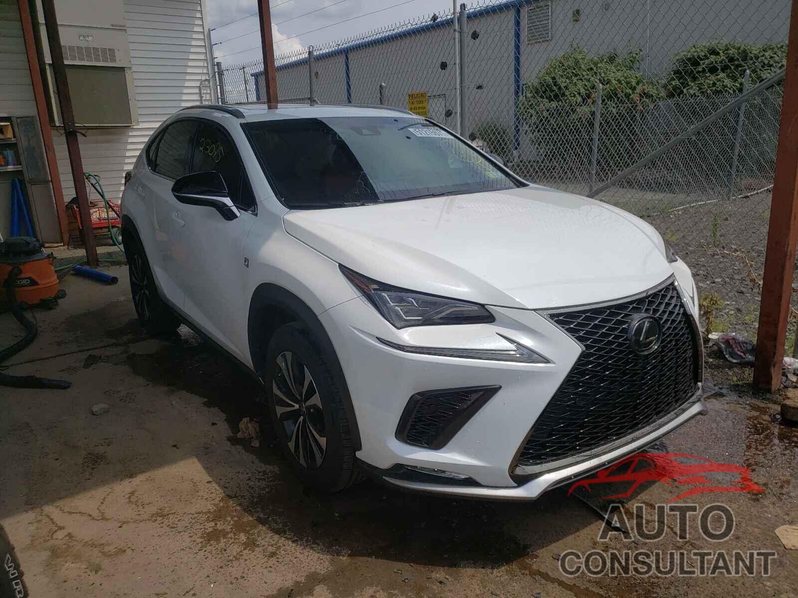 LEXUS NX 2019 - JTJBARBZ6K2196715