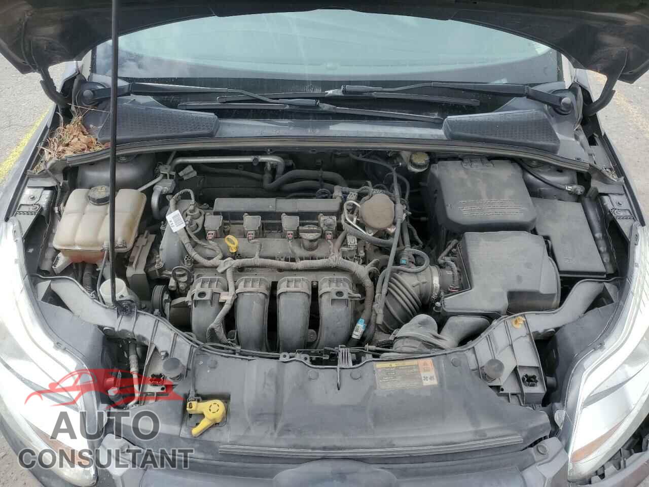 FORD FOCUS 2014 - 1FADP3K22EL201875