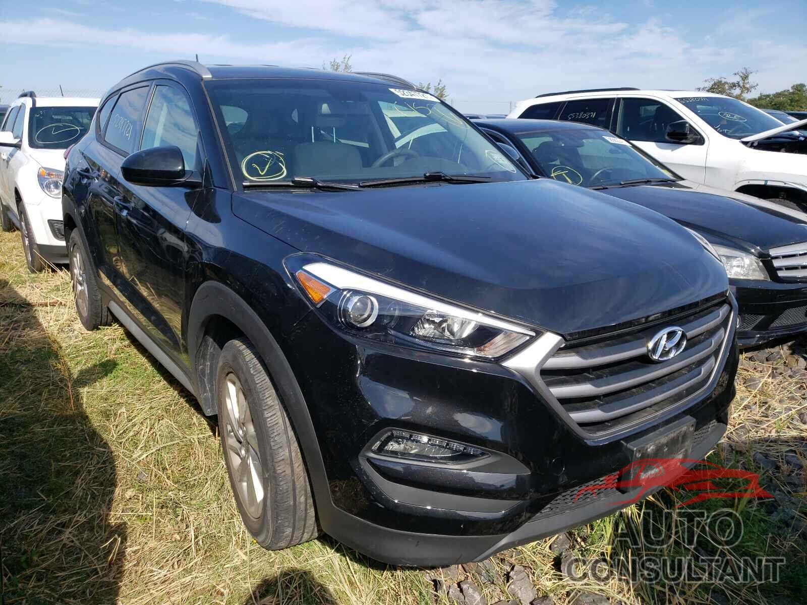 HYUNDAI TUCSON 2017 - KM8J3CA44HU564488