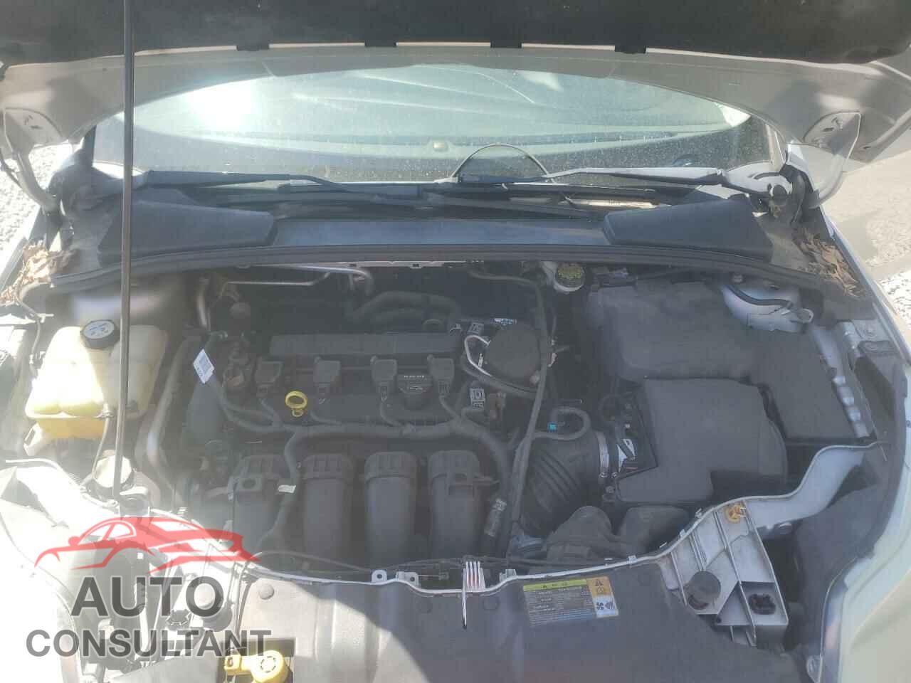 FORD FOCUS 2012 - 1FAHP3F21CL346852