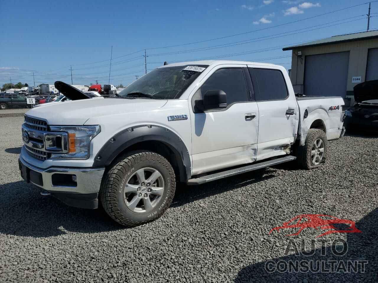 FORD F-150 2019 - 1FTEW1E55KKE08970