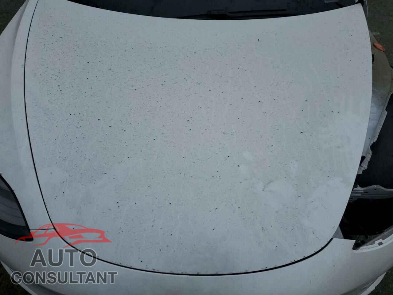 TESLA MODEL 3 2021 - 5YJ3E1EC4MF037759