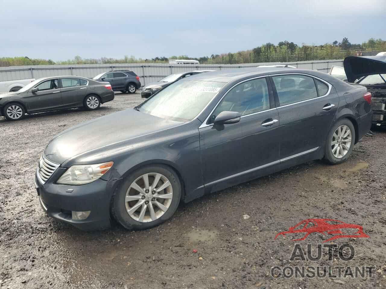 LEXUS LS460 2010 - JTHDL5EF0A5001770