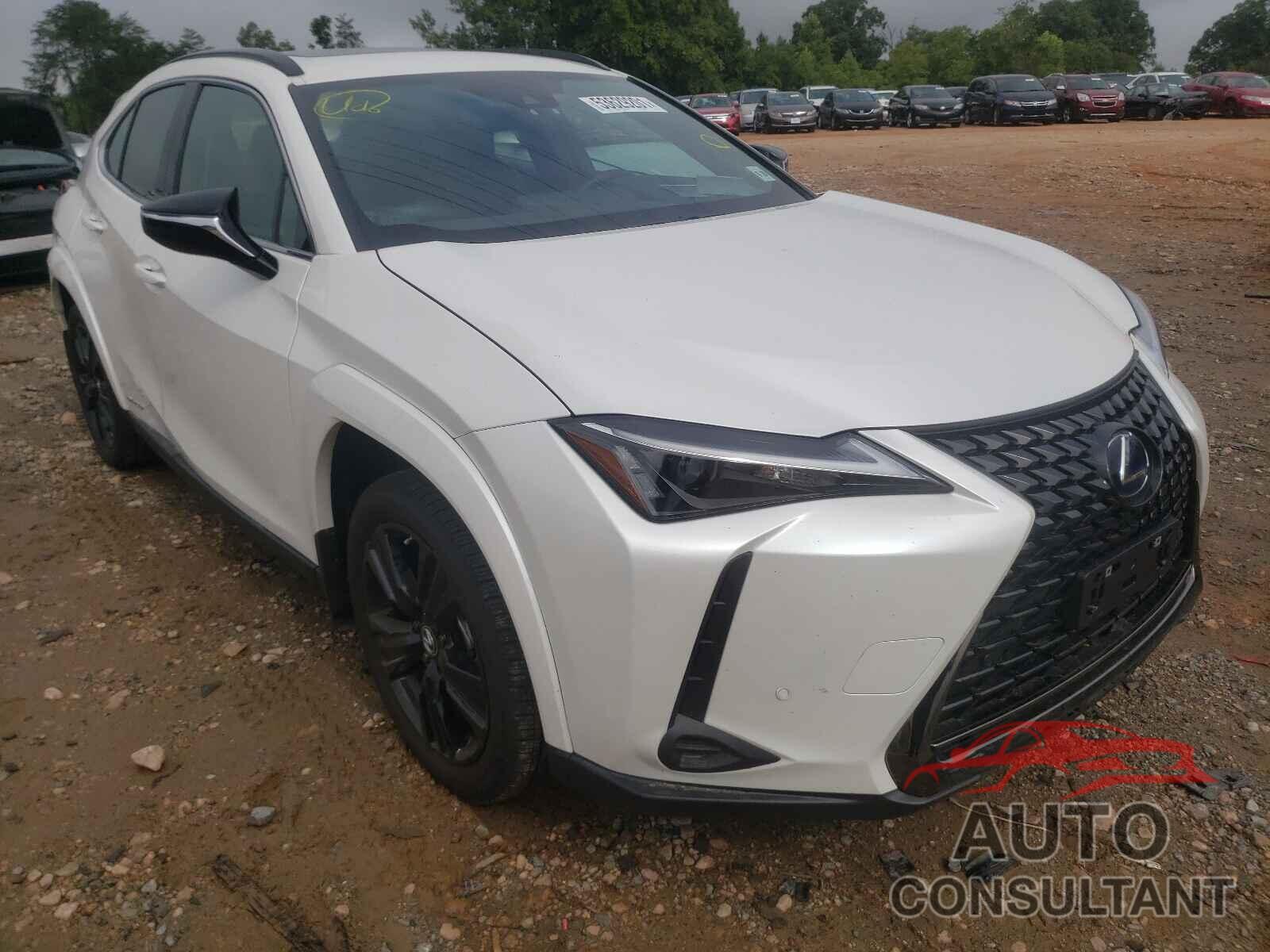 LEXUS UX 250H 2021 - JTHP9JBH9M2048098