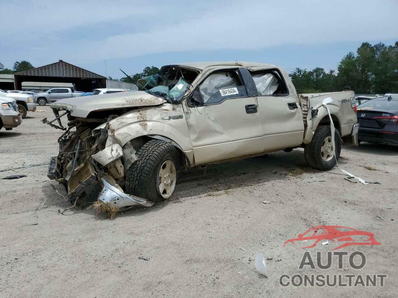 FORD F-150 2010 - 1FTFW1EV4AFA52281