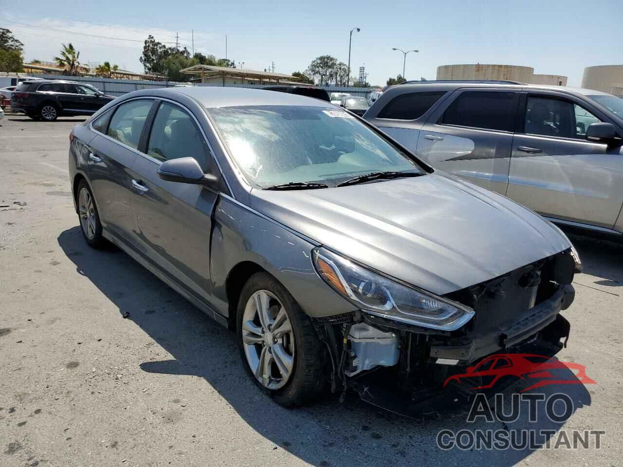 HYUNDAI SONATA 2019 - 5NPE34AF5KH768179