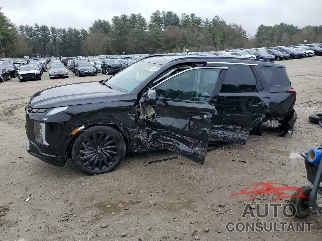 HYUNDAI PALISADE 2025 - KM8R7DGE4SU877884