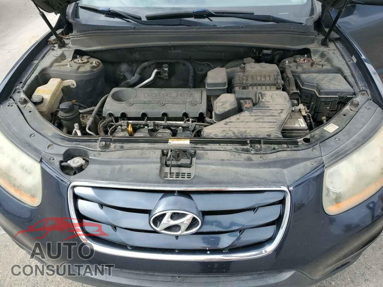 HYUNDAI SANTA FE 2010 - 5NMSGDAB6AH355705