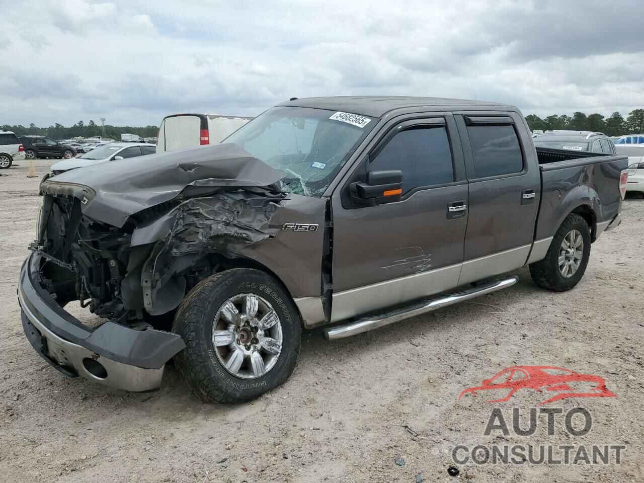 FORD F-150 2010 - 1FTEW1C80AKA22064