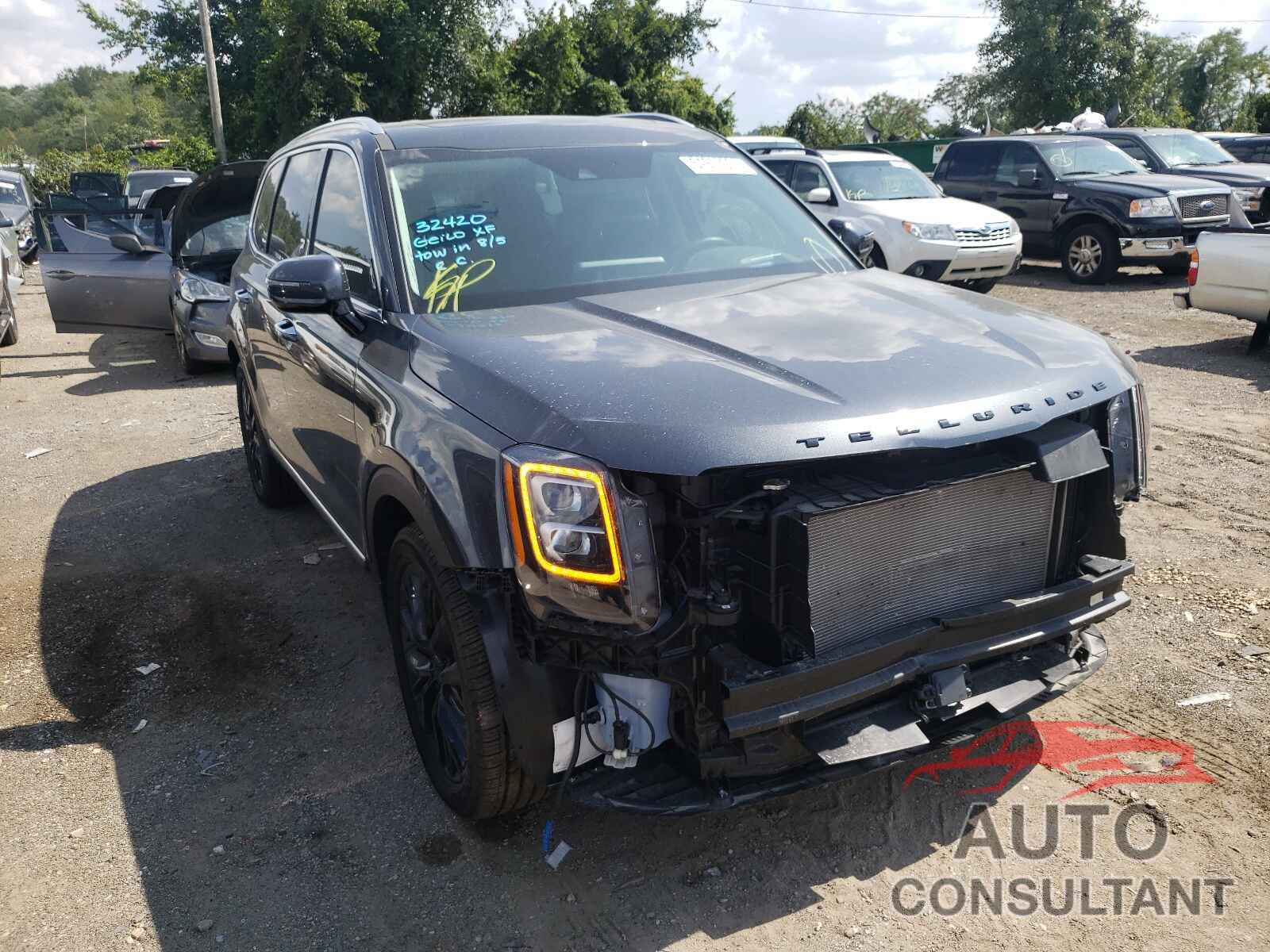 KIA TELLURIDE 2021 - 5XYP5DHCXMG103125