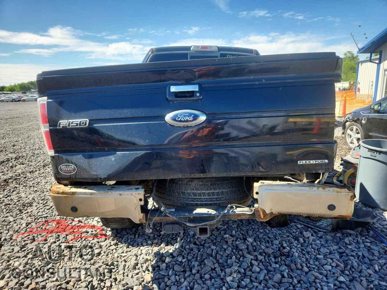 FORD F150 2011 - 1FTFW1EF9BFA70186