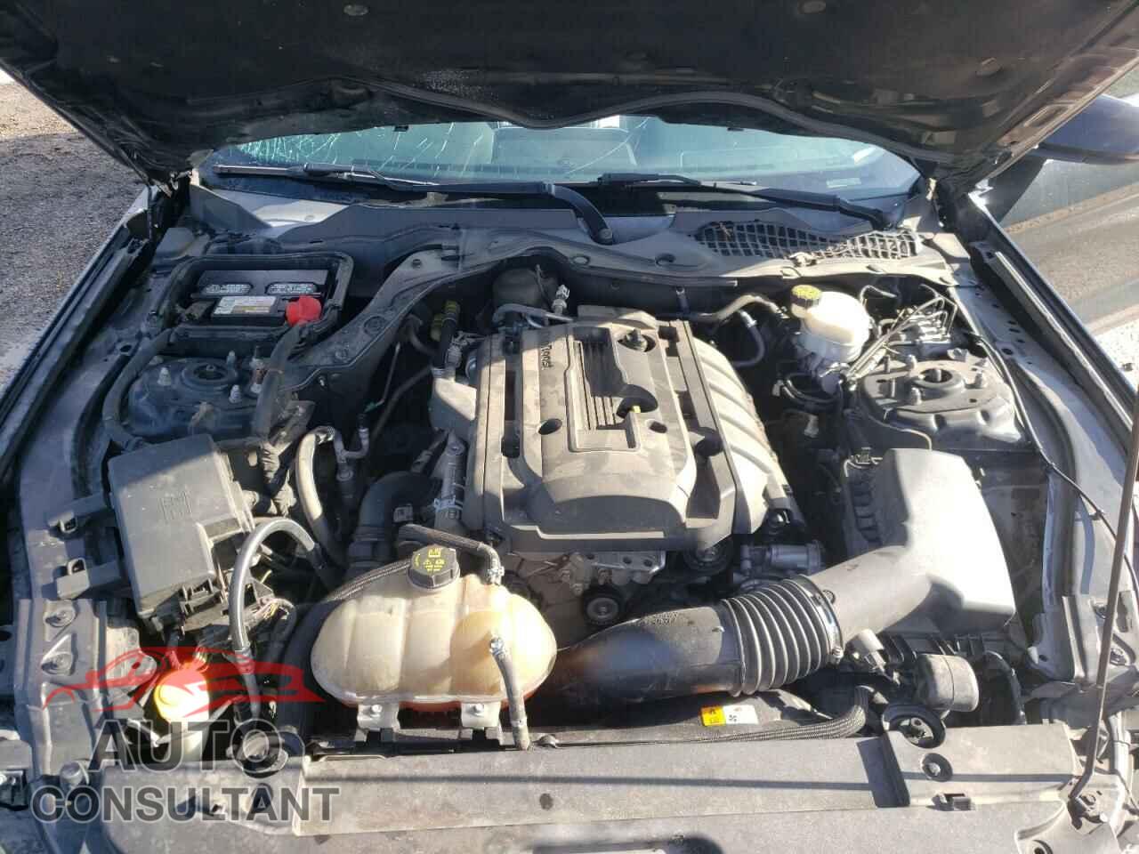 FORD MUSTANG 2016 - 1FA6P8TH8G5264897