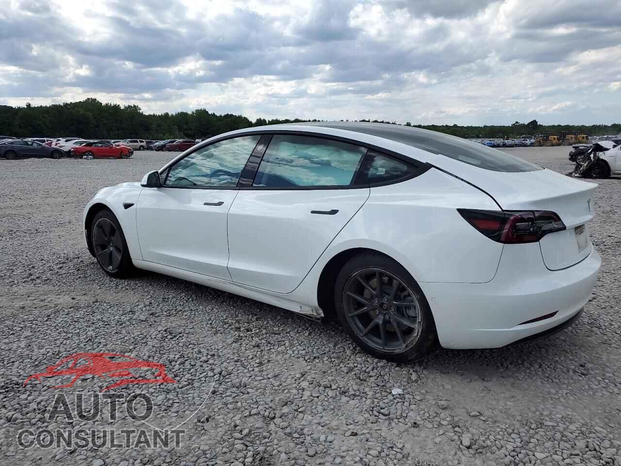 TESLA MODEL 3 2021 - 5YJ3E1EA7MF982204
