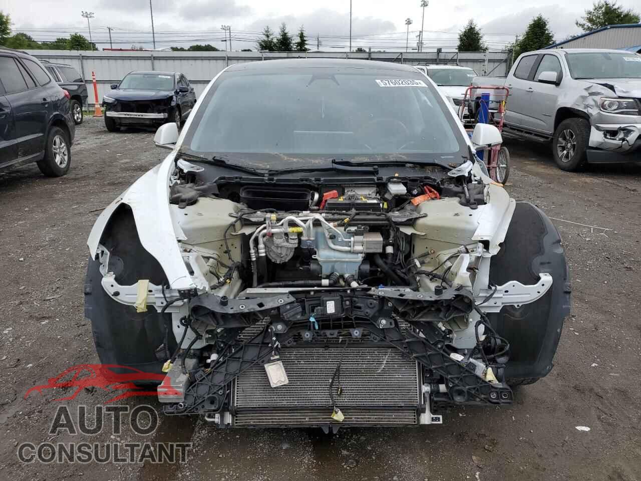 TESLA MODEL 3 2019 - 5YJ3E1EA2KF464627