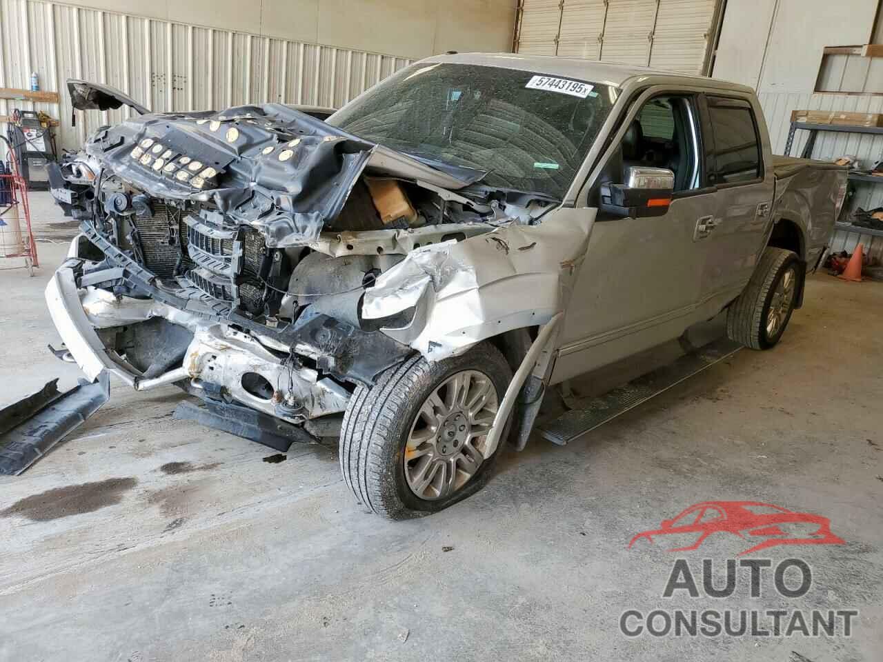 FORD F-150 2010 - 1FTFW1EV7AFA96114
