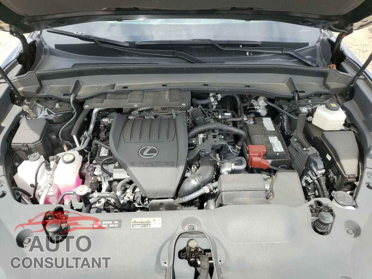 LEXUS TX 350 BAS 2024 - 5TDAAAB63RS010881