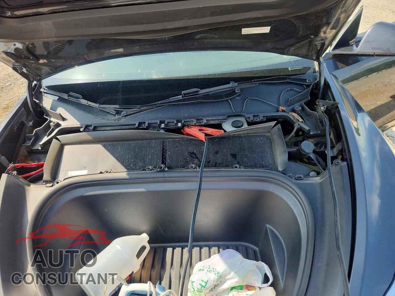 TESLA MODEL Y 2024 - 7SAYGDEE3RF993411