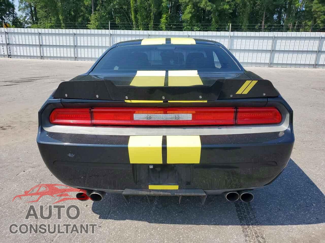 DODGE CHALLENGER 2014 - 2C3CDYAG5EH152844