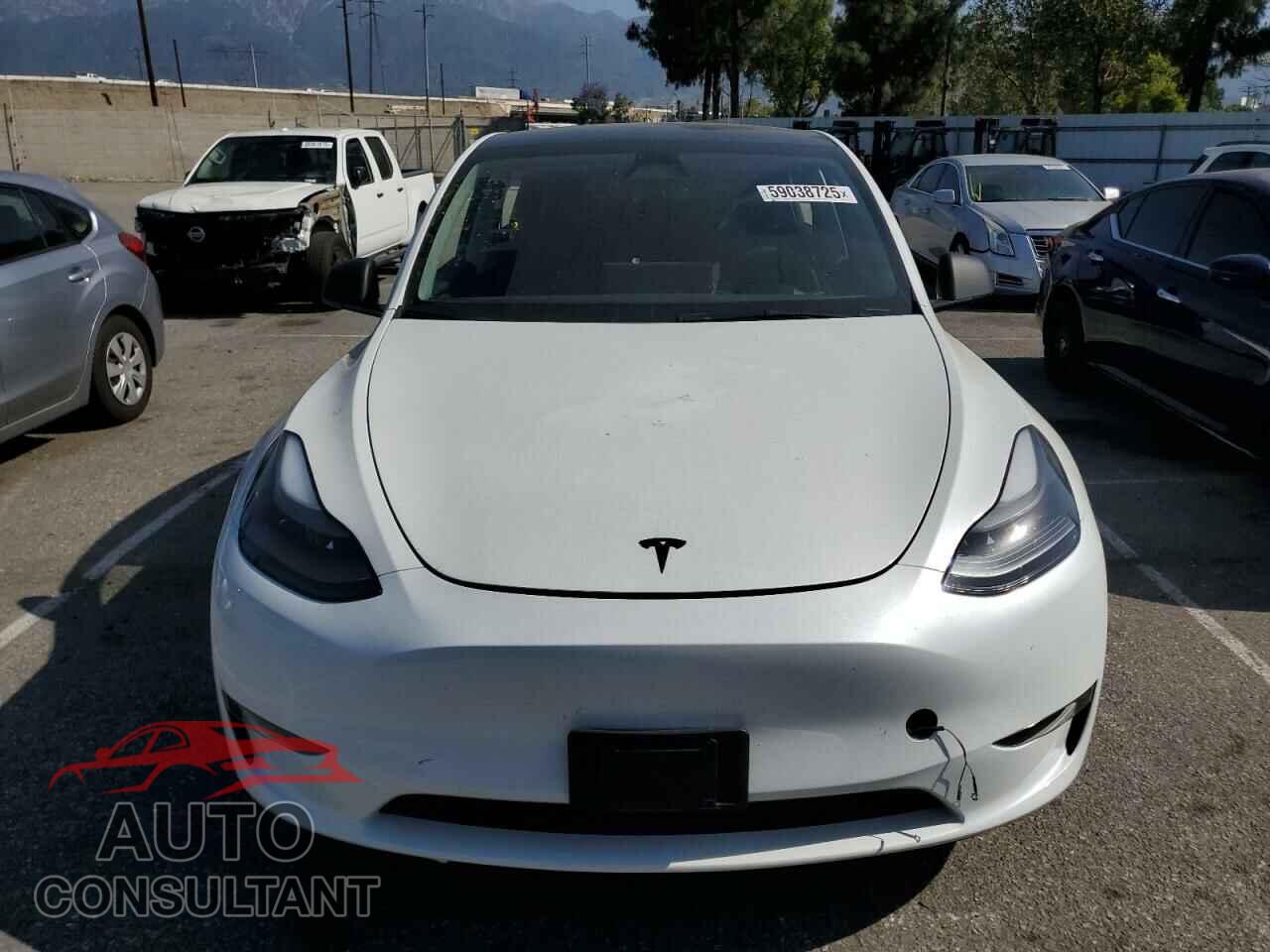 TESLA MODEL Y 2024 - 7SAYGDED6RF109727