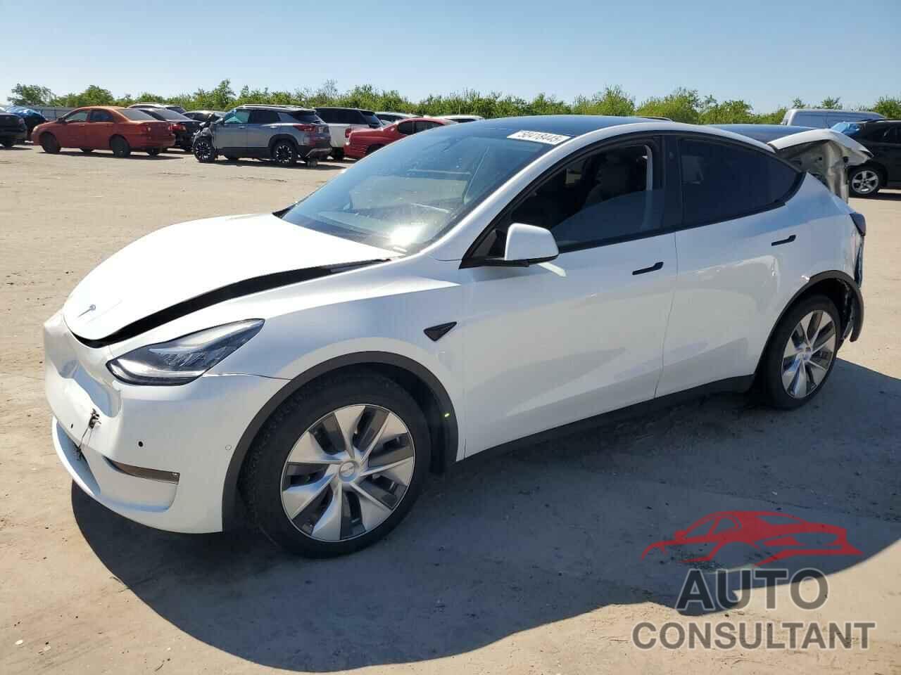 TESLA MODEL Y 2021 - 5YJYGDEE2MF271028