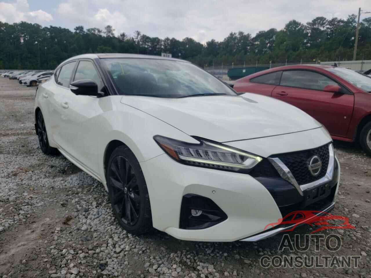 NISSAN MAXIMA 2019 - 1N4AA6AV4KC373824