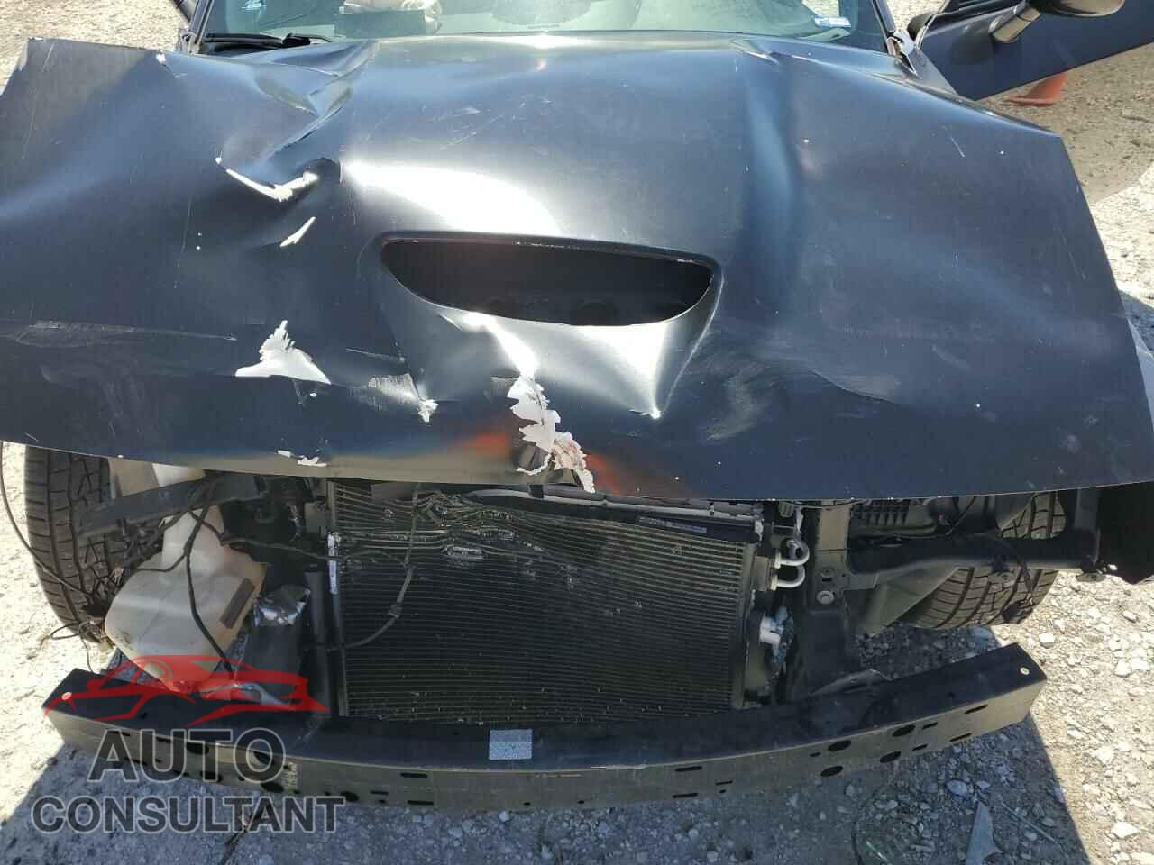 DODGE CHALLENGER 2019 - 2C3CDZBTXKH583242