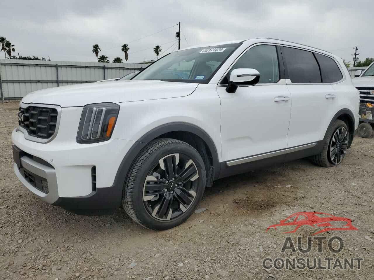 KIA TELLURIDE 2024 - 5XYP54GCXRG431122