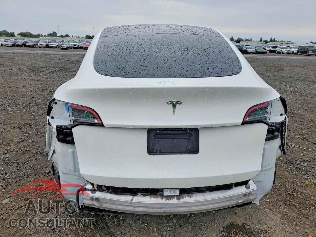 TESLA MODEL Y 2024 - 7SAYGDED3RF103674