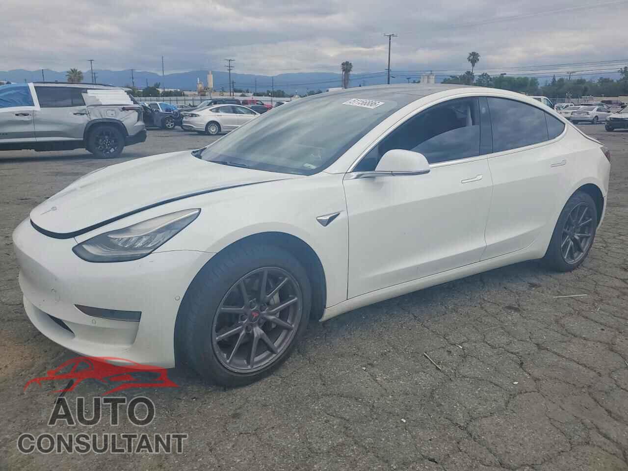 TESLA MODEL 3 2019 - 5YJ3E1EAXKF504081