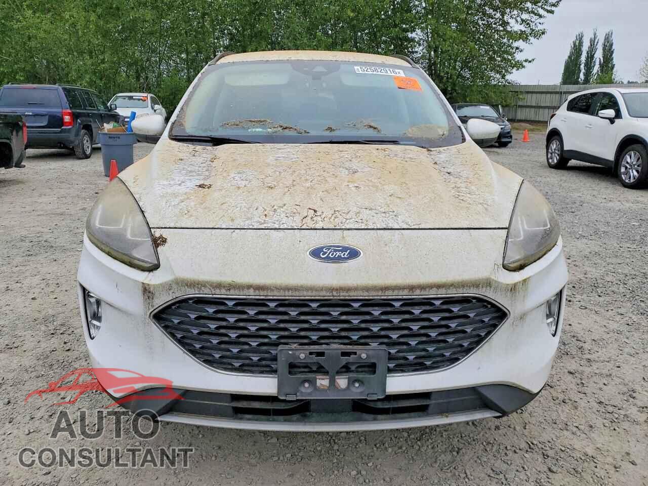FORD ESCAPE 2020 - 1FMCU0H69LUA81308