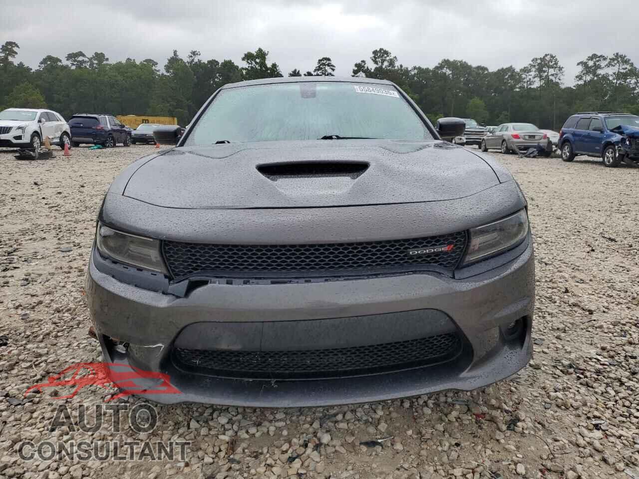 DODGE CHARGER 2019 - 2C3CDXCT3KH692354
