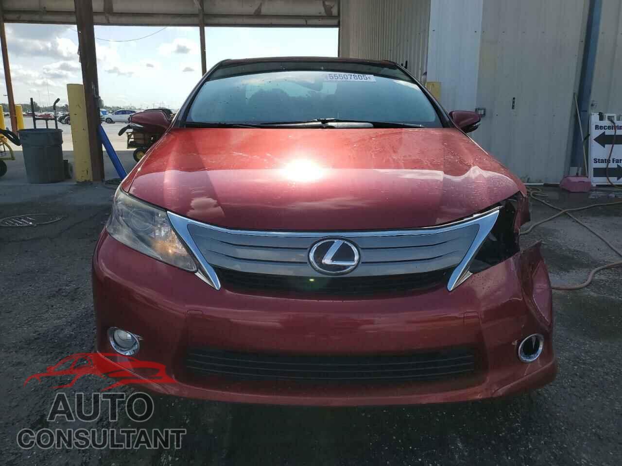 LEXUS HS 2010 - JTHBB1BA6A2001379