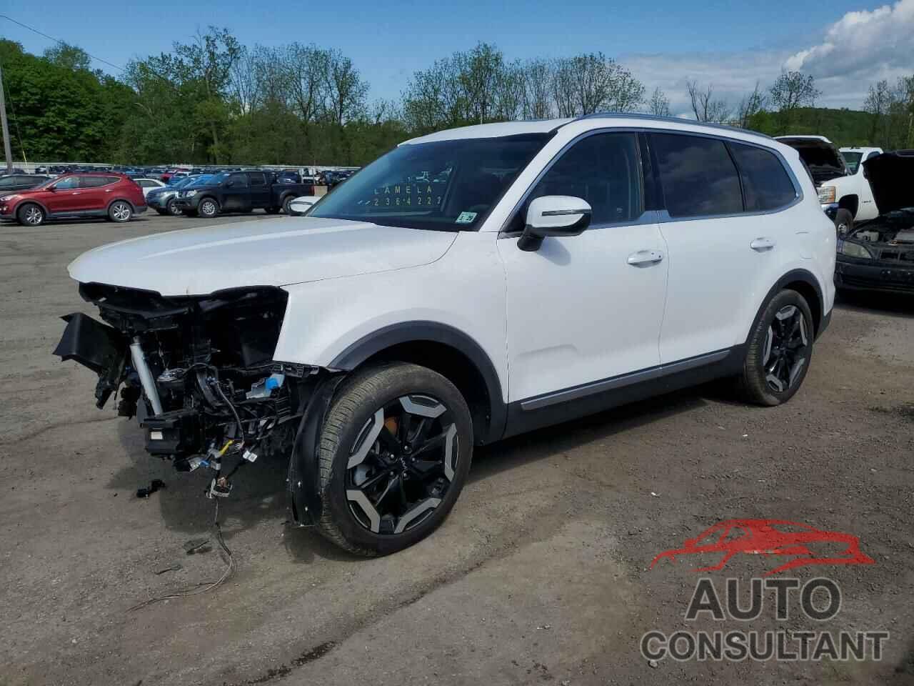 KIA TELLURIDE 2024 - 5XYP3DGCXRG470685