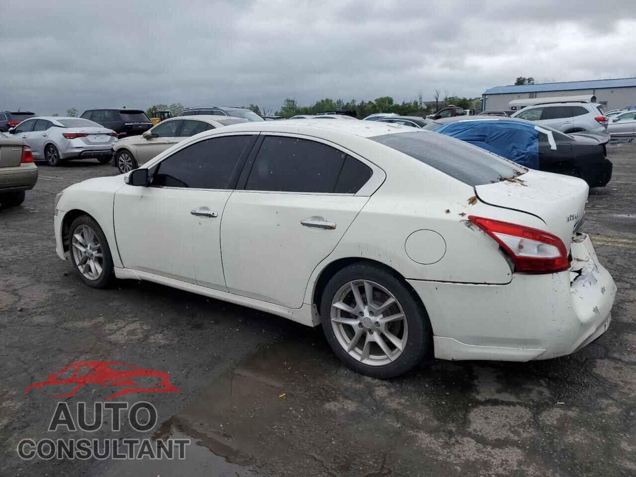 NISSAN MAXIMA 2011 - 1N4AA5AP4BC856497