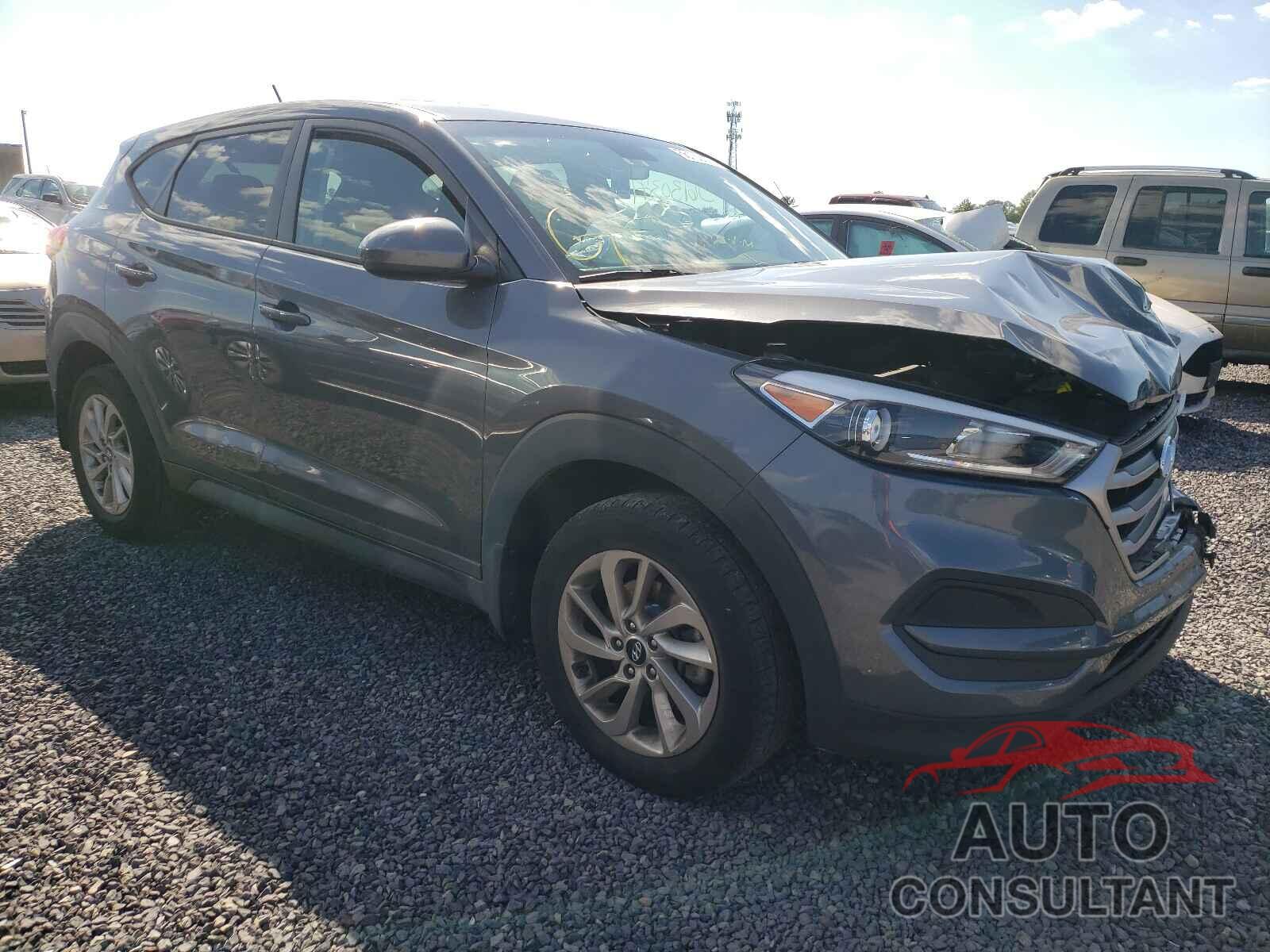 HYUNDAI TUCSON 2017 - KM8J23A45HU290429