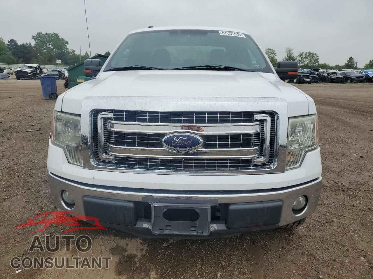 FORD F-150 2013 - 1FTFX1CF9DFD53898