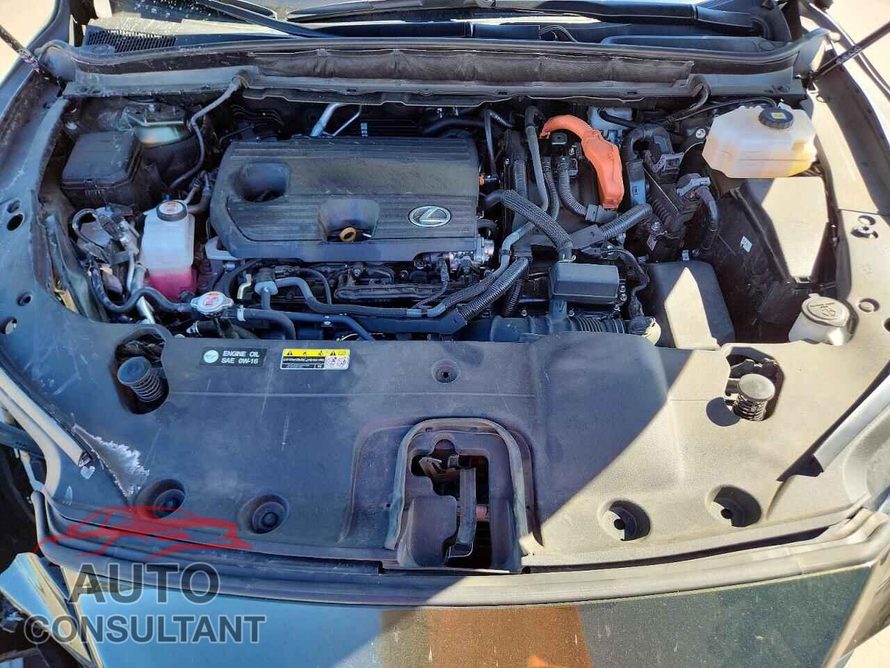 LEXUS UNKNOWN 2024 - 2T2BBMCA1RC028533