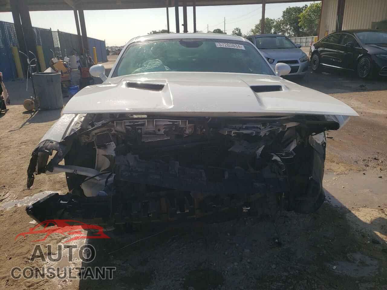 DODGE CHALLENGER 2019 - 2C3CDZAG1KH620554