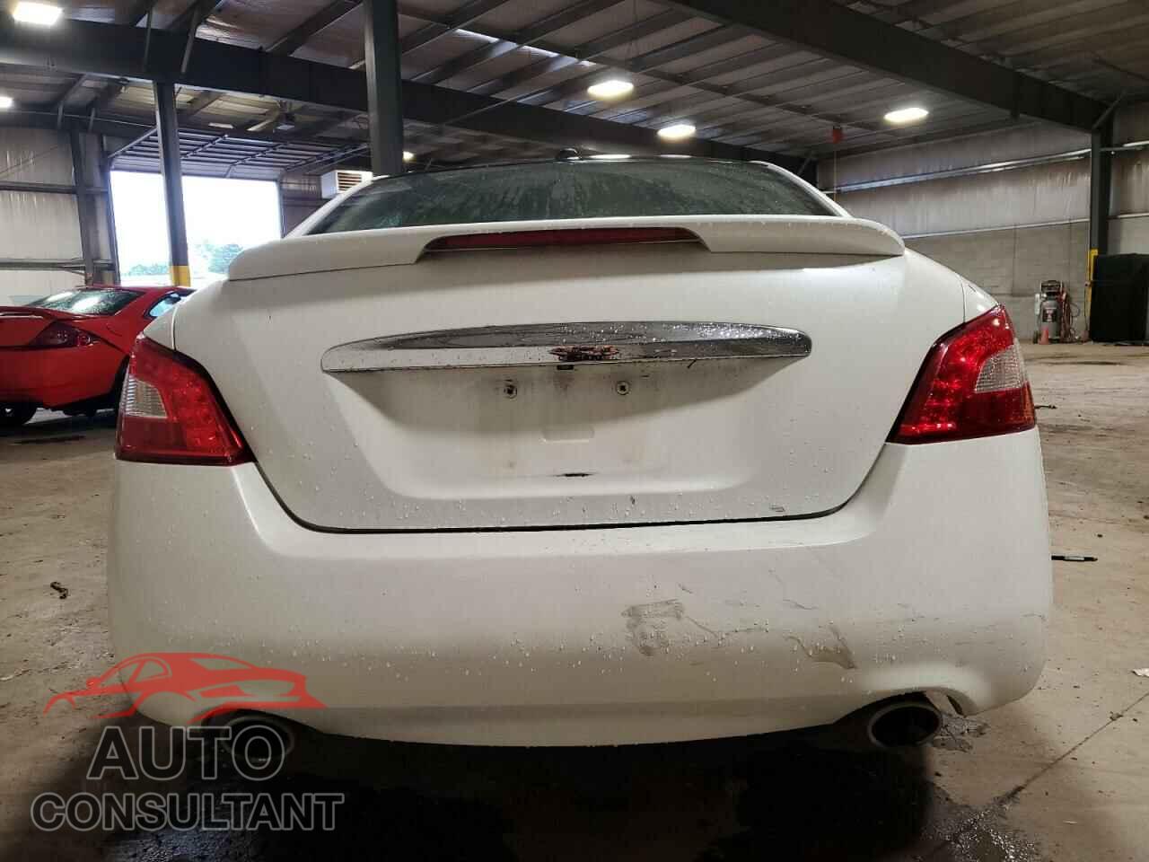 NISSAN MAXIMA 2011 - 1N4AA5AP2BC865537