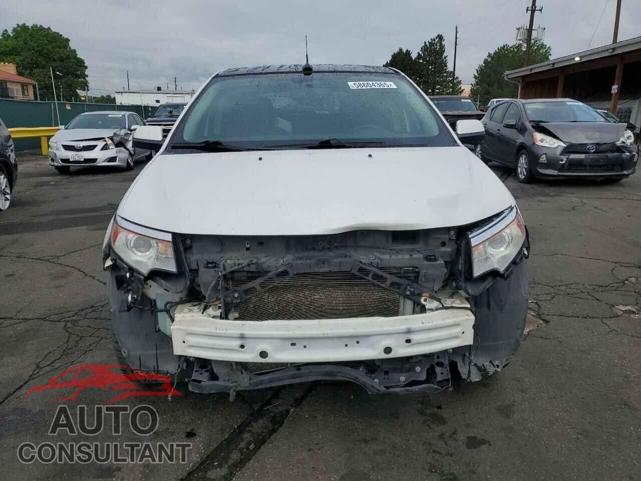 FORD EDGE 2011 - 2FMDK4KC4BBB44318