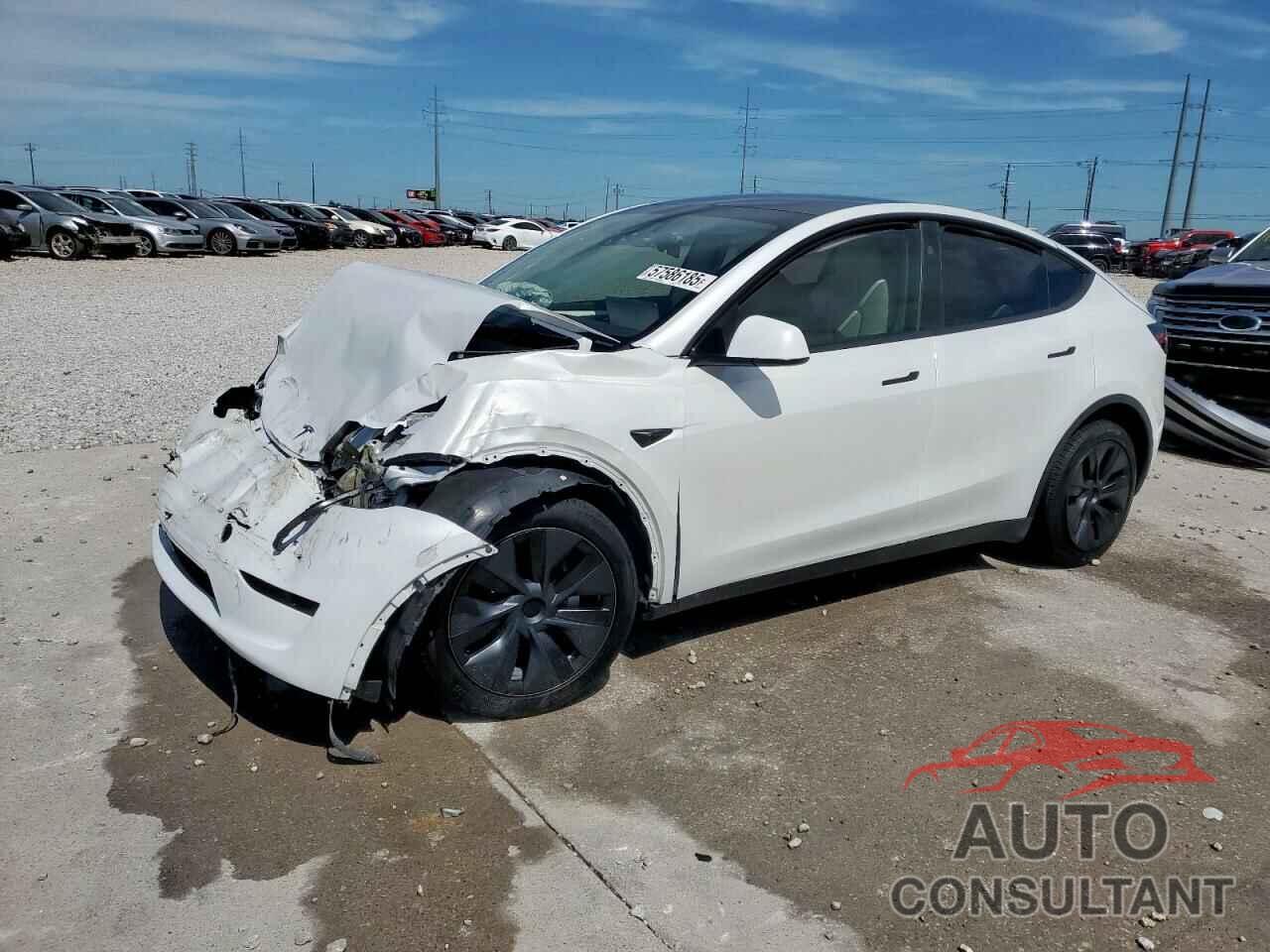 TESLA MODEL Y 2024 - 7SAYGDEE0RA313929
