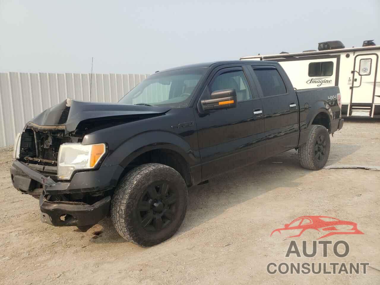 FORD F-150 2010 - 1FTEW1E87AFB90421